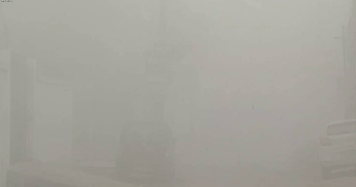 Dense fog blanks out North Indian belt, several states report visibility issues